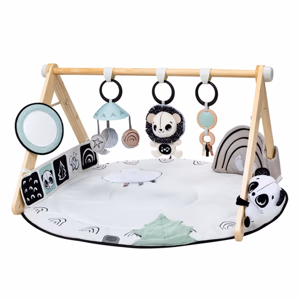 Tiny Love Luxe Developmental Gymini